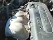 2006 Toyota Highlander с VIN JTEGD21A160144666, выставлен на аукционе IAAI как лот 43137221 с пробегом 174 889 миль миль и . История ставок и продаж доступна на DreamBid. Изображение 15.