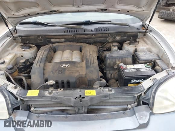 ✅ 2004 Hyundai Santa Fe GLS • VIN: KM8SC13D14U790164 • Lot: 43167625. Wystawiony na IAAI z przebiegiem 178 439 mil. Bezpłatny archiwum sprzedaży aukcyjnych z USA i szczegółowy raport historii pojazdu na DreamBid. Zdjęcie 10.