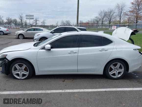 ✅ 2016 Acura TLX Technology • VIN: 19UUB1F56GA013295 • Lot: 42011330. Listed on IAAI with 98,256 mi. Free auction sales archive from the USA and detailed vehicle history report at DreamBid. Image 14.