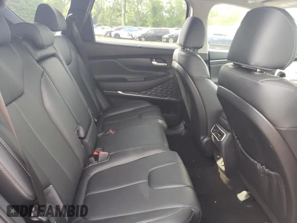 ✅ 2023 Hyundai Santa Fe SEL Premium • VIN: 5NMS3DA11PH022808 • Lot: 55766214. Wystawiony na Copart z przebiegiem 4 398 mil. Bezpłatny archiwum sprzedaży aukcyjnych z USA i szczegółowy raport historii pojazdu na DreamBid. Zdjęcie 12.