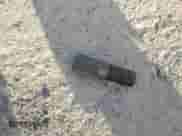 2005 Chevrolet Corvette with VIN 1G1YY34U755127843, listed as a Copart auction lot 81129044 with 59,009 mi miles and Salvage title. Bid and sale history available at DreamBid. Image 12.