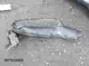 2019 Jeep Compass Limited z VIN 3C4NJDCB3KT843235, wystawiony jako IAAI lot #43383677 z przebiegiem 68 221 mil mil oraz . Historia ofert i sprzedaży dostępna na DreamBid. Obrazek 11.