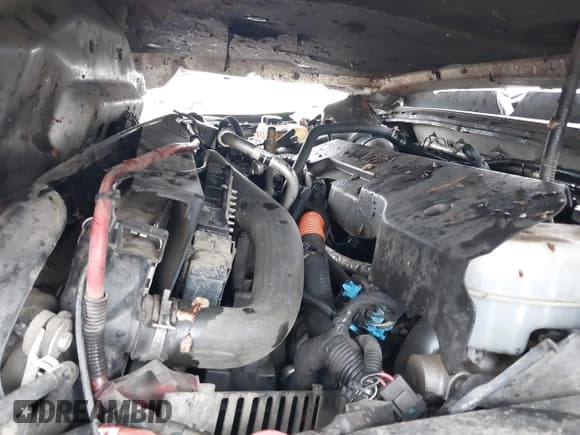 ✅ 2011 Chevrolet Silverado 2500HD LTZ • VIN: 1GC1KYC82BF178510 • Лот: 42248731. Опубликован ранее на IAAI с пробегом 292 024 миль. Бесплатный доступ к архиву аукционных продаж из США и подробный отчёт об истории автомобиля на DreamBid. Изображение 10.