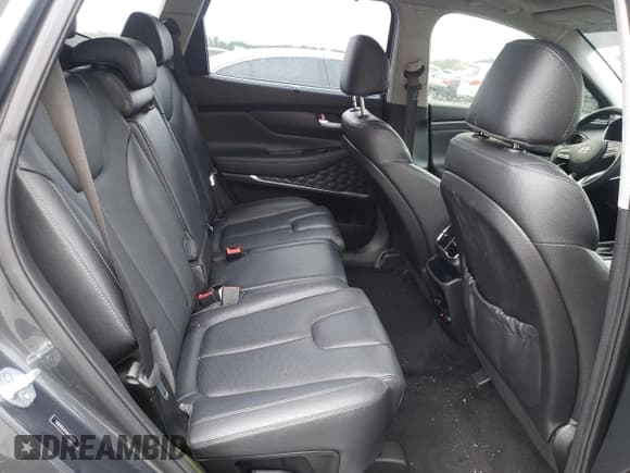 ✅ 2020 Hyundai Santa Fe Limited • VIN: 5NMS53AD1LH189131 • Lot: 40005974. Wystawiony na Copart z przebiegiem 42 026 mil. Bezpłatny archiwum sprzedaży aukcyjnych z USA i szczegółowy raport historii pojazdu na DreamBid. Zdjęcie 11.