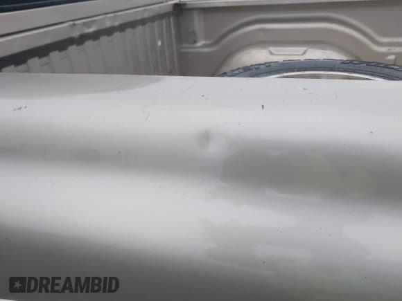 ✅ 2004 Dodge Dakota SLT • VIN: 1D7HG48NX4S596370 • Lot: 41760565. Listed on IAAI with 232,409 mi. Free auction sales archive from the USA and detailed vehicle history report at DreamBid. Image 21.