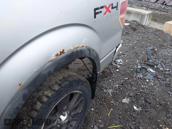 ✅ 2010 Ford F-150 XL • VIN: 1FTFW1EV9AFA73899 • Lot: 41175562. Listed on IAAI with 190,448 mi. Free auction sales archive from the USA and detailed vehicle history report at DreamBid. Image 6.