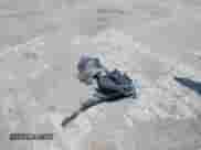 2022 Kia Sorento X-Line S z VIN 5XYRLDLC9NG149780, wystawiony jako IAAI lot #42567100 z przebiegiem 62 097 mil mil oraz . Historia ofert i sprzedaży dostępna na DreamBid. Obrazek 11.