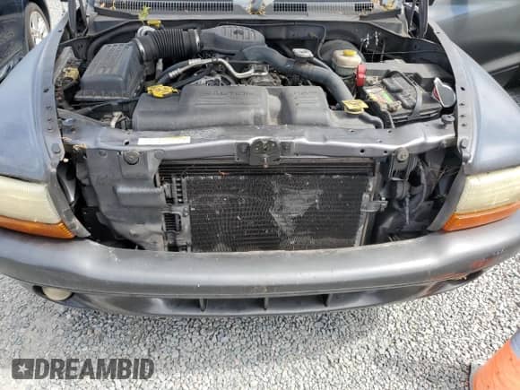 2002 Dodge Dakota Sport z VIN 1B7GL32X62S716927, wystawiony jako Copart lot #74025774 z przebiegiem Nie podano mil oraz Szkoda całkowita • Salvage title. Historia ofert i sprzedaży dostępna na DreamBid. Obrazek 11.