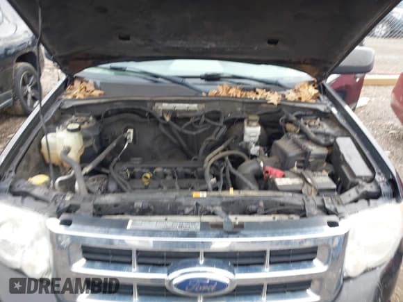 ✅ 2012 Ford Escape XLS • VIN: 1FMCU0C78CKC53131 • Lot: 43718399. Wystawiony na IAAI z przebiegiem 233 693 mil. Bezpłatny archiwum sprzedaży aukcyjnych z USA i szczegółowy raport historii pojazdu na DreamBid. Zdjęcie 8.