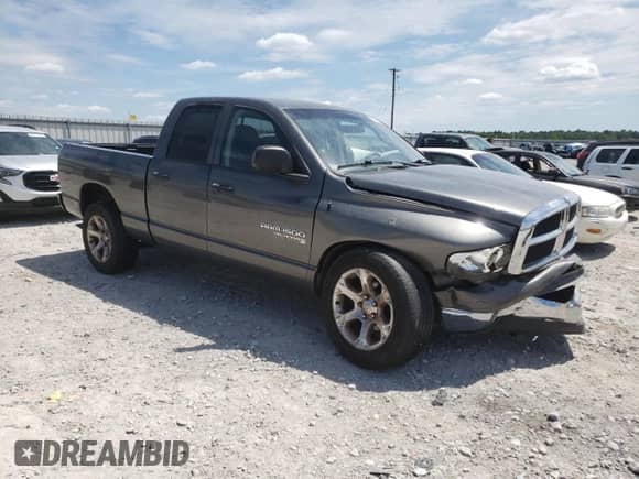 2004 Dodge 1500 SLT с VIN 1D7HA18N84S502602, выставлен на аукционе Copart как лот 66199284 с пробегом 224 248 миль миль и Списание • Salvage title. История ставок и продаж доступна на DreamBid. Изображение 4.