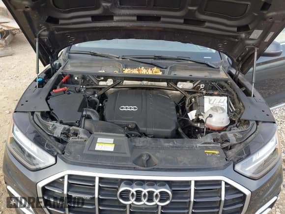 ✅ 2021 Audi Q5 Premium Plus • VIN: WA1BAAFY8M2034703 • Lot: 43671107. Wystawiony na IAAI z przebiegiem 46 585 mil. Bezpłatny archiwum sprzedaży aukcyjnych z USA i szczegółowy raport historii pojazdu na DreamBid. Zdjęcie 10.