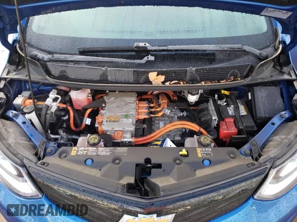 2018 Chevrolet Bolt EV LT z VIN 1G1FW6S05J4138953, wystawiony jako Copart lot #81003123 z przebiegiem 60 154 mil mil oraz . Historia ofert i sprzedaży dostępna na DreamBid. Obrazek 12.