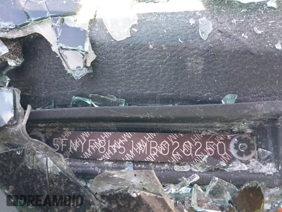 ✅ 2021 Honda Passport EX-L • VIN: 5FNYF8H51MB020250 • Lot: 40009629. Listed on IAAI with 54,239 mi. Free auction sales archive from the USA and detailed vehicle history report at DreamBid. Image 9.