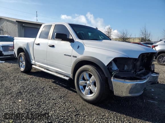 ✅ 2010 Dodge 1500 SLT • VIN: 1D7RV1GT5AS202911 • Lot: 41792975. Wystawiony na Copart z przebiegiem 227 118 mil. Bezpłatny archiwum sprzedaży aukcyjnych z USA i szczegółowy raport historii pojazdu na DreamBid. Zdjęcie 4.