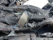 ✅ 2000 Lincoln LS • VIN: 1LNHM87AXYY905598 • Лот: 42367357. Опубликован ранее на IAAI с пробегом Не указан. Бесплатный доступ к архиву аукционных продаж из США и подробный отчёт об истории автомобиля на DreamBid. Изображение 15.