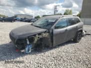 ✅ 2021 Jeep Cherokee Trailhawk • VIN: 1C4PJMBX3MD128857 • Lot: 81885905. Listed on Copart with 71,038 mi. Free auction sales archive from the USA and detailed vehicle history report at DreamBid. Image 1.