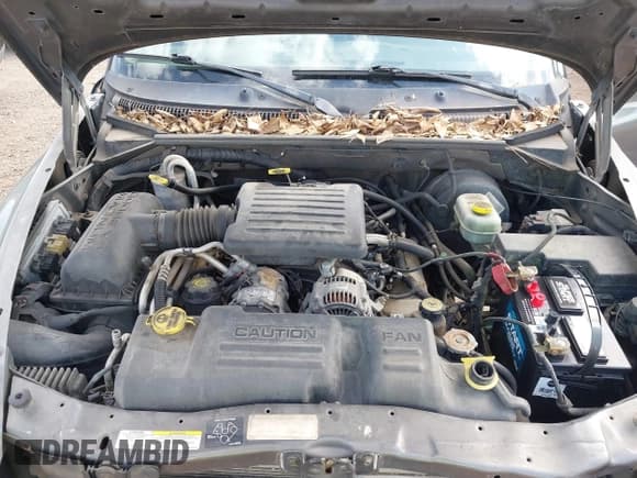 ✅ 2002 Dodge Dakota SLT • VIN: 1B7HG48NX2S623588 • Lot: 41793068. Wystawiony na IAAI z przebiegiem 213 159 mil. Bezpłatny archiwum sprzedaży aukcyjnych z USA i szczegółowy raport historii pojazdu na DreamBid. Zdjęcie 10.