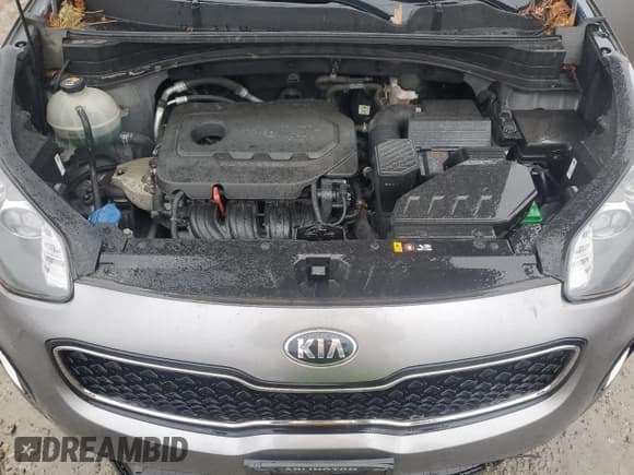 ✅ 2017 Kia Sportage EX • VIN: KNDPNCAC0H7106753 • Лот: 86475105. Опубликован ранее на Copart с пробегом 53 794 миль. Бесплатный доступ к архиву аукционных продаж из США и подробный отчёт об истории автомобиля на DreamBid. Изображение 12.