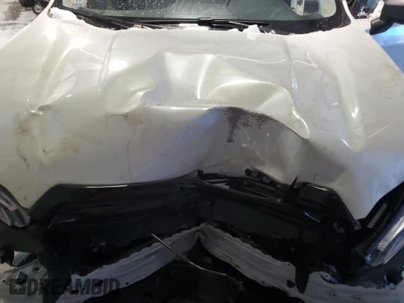 ✅ 2023 Subaru Forester • VIN: JF2SKACC8PH535282 • Lot: 43746585. Wystawiony na Copart z przebiegiem 40 074 mil. Bezpłatny archiwum sprzedaży aukcyjnych z USA i szczegółowy raport historii pojazdu na DreamBid. Zdjęcie 12.