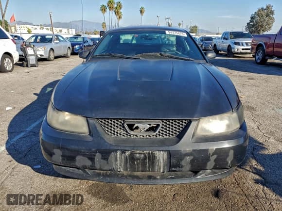 ✅ 2003 Ford Mustang Standard • VIN: 1FAFP40403F313296 • Lot: 94375875. Wystawiony na Copart z przebiegiem 163 928 mil. Bezpłatny archiwum sprzedaży aukcyjnych z USA i szczegółowy raport historii pojazdu na DreamBid. Zdjęcie 5.