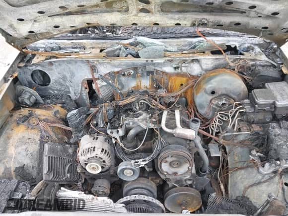 1999 Chevrolet Blazer LT z VIN 1GNDT13W9X2240796, wystawiony jako IAAI lot #41919664 z przebiegiem Nie podano mil oraz . Historia ofert i sprzedaży dostępna na DreamBid. Obrazek 10.