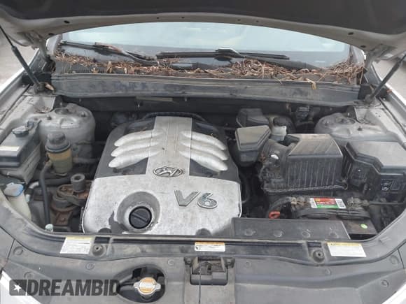 ✅ 2007 Hyundai Santa Fe SE • VIN: 5NMSH73E87H061267 • Lot: 43852443. Listed on IAAI with 377,237 mi. Free auction sales archive from the USA and detailed vehicle history report at DreamBid. Image 10.