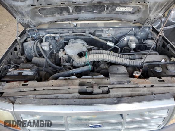 ✅ 1993 Ford F-150 • VIN: 1FTEX15NXPKB33486 • Lot: 81928444. Listed on Copart with Not provided. Free auction sales archive from the USA and detailed vehicle history report at DreamBid. Image 11.