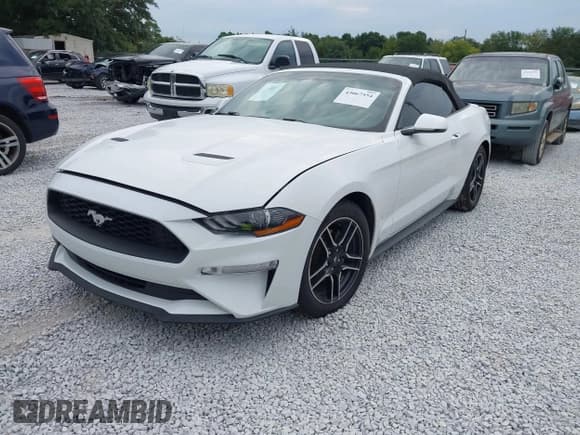 ✅ 2018 Ford Mustang EcoBoost Premium • VIN: 1FATP8UH1J5156467 • Lot: 43067554. Listed on IAAI with Not provided. Free auction sales archive from the USA and detailed vehicle history report at DreamBid. Image 17.