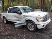 ✅ 2009 Ford F-150 XL • VIN: 1FTPW14V19FA69668 • Lot: 43338578. Wystawiony na IAAI z przebiegiem Nie podano. Bezpłatny archiwum sprzedaży aukcyjnych z USA i szczegółowy raport historii pojazdu na DreamBid. Zdjęcie 1.