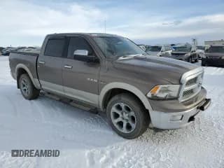 ✅ 2010 Dodge 1500 SLT • VIN: 1D7RV1CT4AS180910 • Lot: 46585505. Wystawiony na Copart z przebiegiem Nie podano. Bezpłatny archiwum sprzedaży aukcyjnych z USA i szczegółowy raport historii pojazdu na DreamBid. Zdjęcie 4.