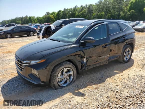 2024 Hyundai Tucson SEL с VIN 5NMJB3DE3RH402159, выставлен на аукционе Copart как лот 53196335 с пробегом 56 924 миль миль и Списание • Salvage title. История ставок и продаж доступна на DreamBid. Изображение 1.