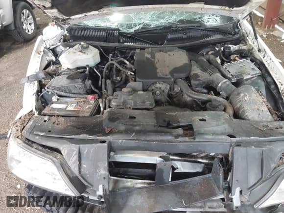 ✅ 2010 Lincoln Town Car Signature Limited • VIN: 2LNBL8CV1AX626449 • Lot: 43421993. Listed on IAAI with 31,925 mi. Free auction sales archive from the USA and detailed vehicle history report at DreamBid. Image 10.