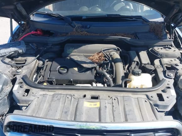 ✅ 2013 MINI Paceman S • VIN: WMWSS5C57DWN49363 • Lot: 43535581. Listed on IAAI with 116,491 mi. Free auction sales archive from the USA and detailed vehicle history report at DreamBid. Image 10.