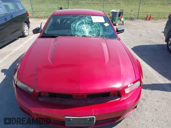 ✅ 2010 Ford Mustang V6 • VIN: 1ZVBP8AN5A5128152 • Лот: 43376702. Опубликован ранее на IAAI с пробегом 162 272 миль. Бесплатный доступ к архиву аукционных продаж из США и подробный отчёт об истории автомобиля на DreamBid. Изображение 6.