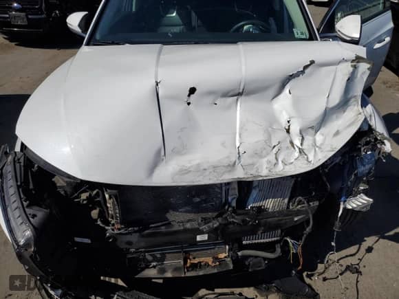 ✅ 2023 Hyundai Tucson Limited • VIN: KM8JECA15PU107199 • Lot: 70749015. Listed on Copart with Not provided miles. Access the free auction sales archive from the USA and view a detailed vehicle history report at DreamBid. Image 11.