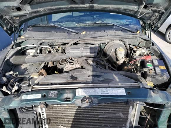 2001 Dodge 1500 с VIN 1B7HF13ZX1J570732, выставлен на аукционе Copart как лот 84479494 с пробегом Не указан миль и Списание • Salvage title. История ставок и продаж доступна на DreamBid. Изображение 11.