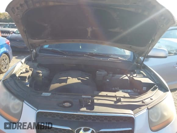 ✅ 2009 Hyundai Santa Fe Limited • VIN: 5NMSH13E29H241585 • Лот: 43620407. Опубликован ранее на IAAI с пробегом 279 155 миль. Бесплатный доступ к архиву аукционных продаж из США и подробный отчёт об истории автомобиля на DreamBid. Изображение 10.