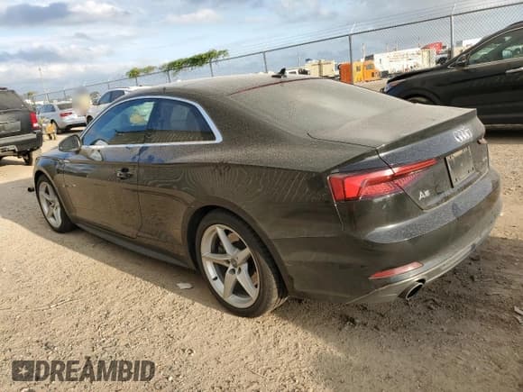 ✅ 2019 Audi A5 Premium • VIN: WAUSNAF57KA079941 • Lot: 79294184. Listed on Copart with 72,259 mi. Free auction sales archive from the USA and detailed vehicle history report at DreamBid. Image 2.