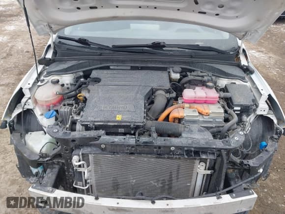 ✅ 2021 Hyundai Ioniq Blue • VIN: KMHC65LC5MU252688 • Lot: 41649851. Wystawiony na IAAI z przebiegiem 191 499 mil. Bezpłatny archiwum sprzedaży aukcyjnych z USA i szczegółowy raport historii pojazdu na DreamBid. Zdjęcie 10.