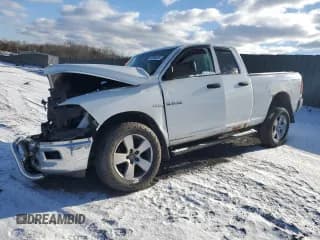 ✅ 2010 Dodge 1500 TRX • VIN: 1D7RV1GTXAS129762 • Lot: 44989825. Wystawiony na Copart z przebiegiem Nie podano. Bezpłatny archiwum sprzedaży aukcyjnych z USA i szczegółowy raport historii pojazdu na DreamBid. Zdjęcie 1.