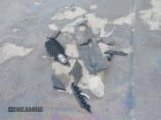 ✅ 2016 Kia Sorento EX • VIN: 5XYPHDA59GG121557 • Lot: 42358212. Listed on IAAI with 186,035 mi. Free auction sales archive from the USA and detailed vehicle history report at DreamBid. Image 12.