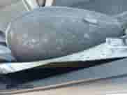 2019 Hyundai Veloster N z VIN KMHT36AH3KU002005, wystawiony jako IAAI lot #41499062 z przebiegiem 91 012 mil mil oraz . Historia ofert i sprzedaży dostępna na DreamBid. Obrazek 6.