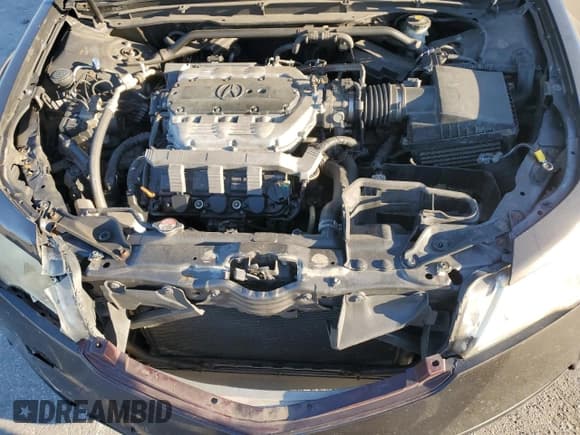 ✅ 2009 Acura TL Technology • VIN: 19UUA86539A007761 • Лот: 92675615. Опубликован ранее на Copart с пробегом 270 776 миль. Бесплатный доступ к архиву аукционных продаж из США и подробный отчёт об истории автомобиля на DreamBid. Изображение 11.