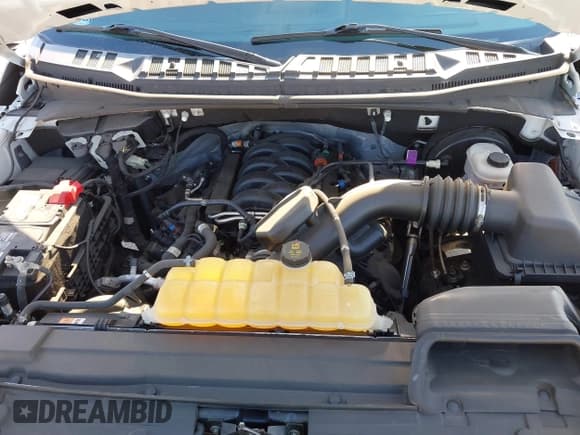 ✅ 2019 Ford F-150 XL • VIN: 1FTMF1C55KKF28511 • Lot: 41255476. Listed on IAAI with 26,638 mi. Free auction sales archive from the USA and detailed vehicle history report at DreamBid. Image 10.