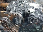 ✅ 2002 Toyota Tundra • VIN: 5TBJN32132S272676 • Lot: 42225799. Listed on IAAI with Not provided. Free auction sales archive from the USA and detailed vehicle history report at DreamBid. Image 11.