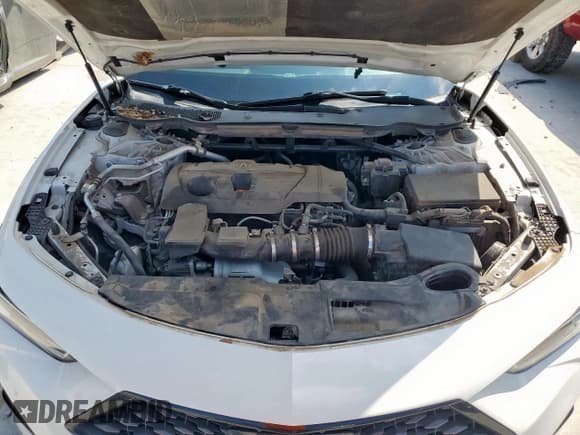 ✅ 2021 Acura TLX w/A-Spec Package • VIN: 19UUB5F50MA014459 • Lot: 71267535. Listed on Copart with 88,785 mi. Free auction sales archive from the USA and detailed vehicle history report at DreamBid. Image 11.