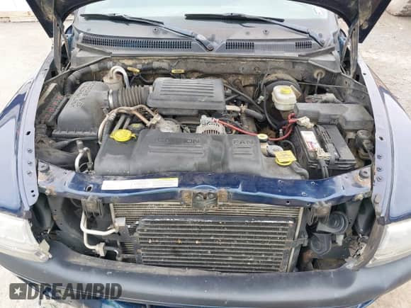 2003 Dodge Dakota Sport с VIN 1D7HG38N83S296352, выставлен на аукционе IAAI как лот 43451731 с пробегом 251 169 миль миль и . История ставок и продаж доступна на DreamBid. Изображение 10.