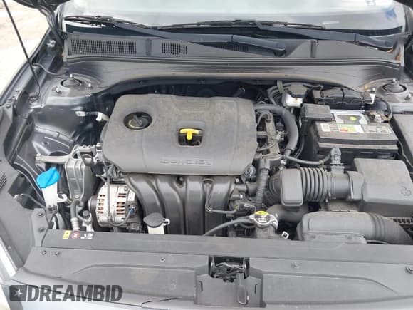 ✅ 2020 Kia Forte LXS • VIN: 3KPF24AD5LE237446 • Лот: 42768146. Опубликован ранее на IAAI с пробегом 139 057 миль. Бесплатный доступ к архиву аукционных продаж из США и подробный отчёт об истории автомобиля на DreamBid. Изображение 10.