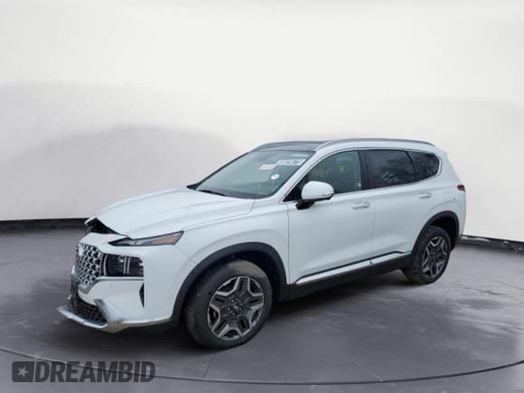 ✅ 2023 Hyundai Santa Fe Limited • VIN: 5NMS4DAL5PH532643 • Lot: 48829073. Wystawiony na Copart z przebiegiem 2 773 mil. Bezpłatny archiwum sprzedaży aukcyjnych z USA i szczegółowy raport historii pojazdu na DreamBid. Zdjęcie 1.