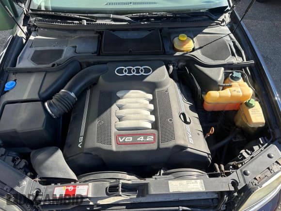 ✅ 2002 Audi S8 • VIN: WAUGU44D62N000935 • Лот: 89854155. Опубликован ранее на Copart с пробегом 141 693 миль. Бесплатный доступ к архиву аукционных продаж из США и подробный отчёт об истории автомобиля на DreamBid. Изображение 7.